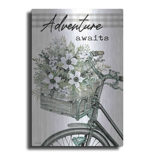 Luxe Metal Art 'Adventure Awaits 2' by Cindy Jacobs, Metal Wall Art