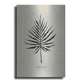 Luxe Metal Art 'Ebony Palm IV' by Cindy Jacobs, Metal Wall Art