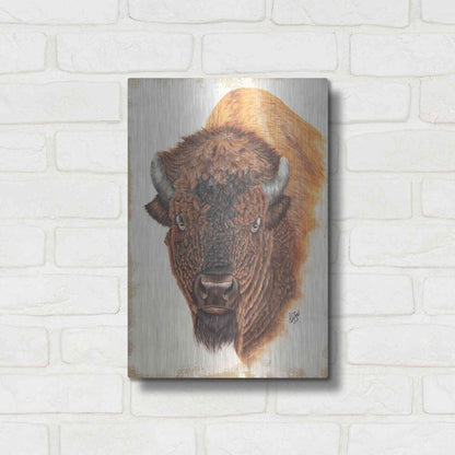 Luxe Metal Art 'Wildly Free' by Diane Fifer, Metal Wall Art,12x16