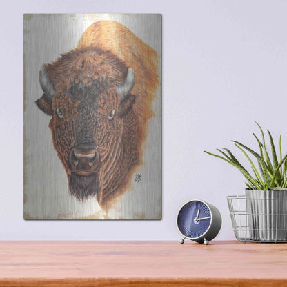 Luxe Metal Art 'Wildly Free' by Diane Fifer, Metal Wall Art,12x16