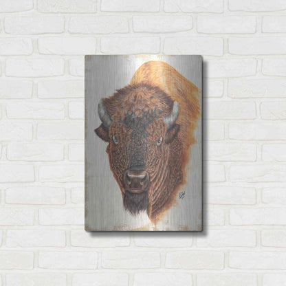 Luxe Metal Art 'Wildly Free' by Diane Fifer, Metal Wall Art,16x24