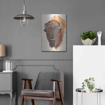Luxe Metal Art 'Wildly Free' by Diane Fifer, Metal Wall Art,16x24