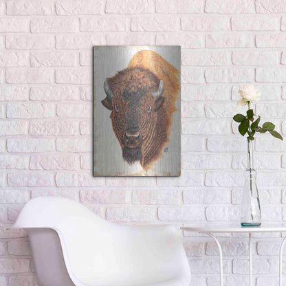 Luxe Metal Art 'Wildly Free' by Diane Fifer, Metal Wall Art,16x24