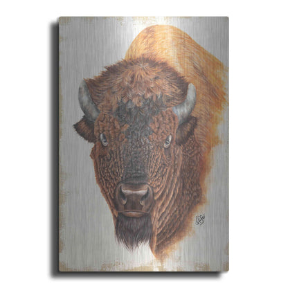 Luxe Metal Art 'Wildly Free' by Diane Fifer, Metal Wall Art