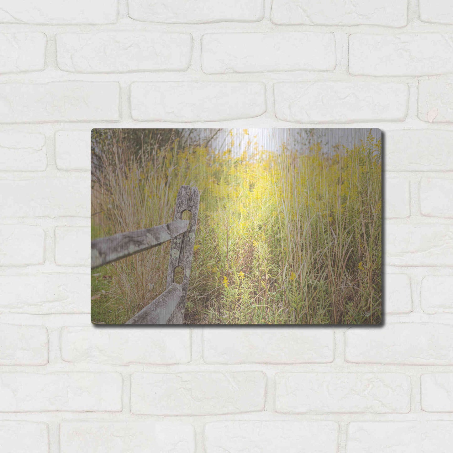 Luxe Metal Art 'Fence Stops Here' by Donnie Quillen, Metal Wall Art,16x12