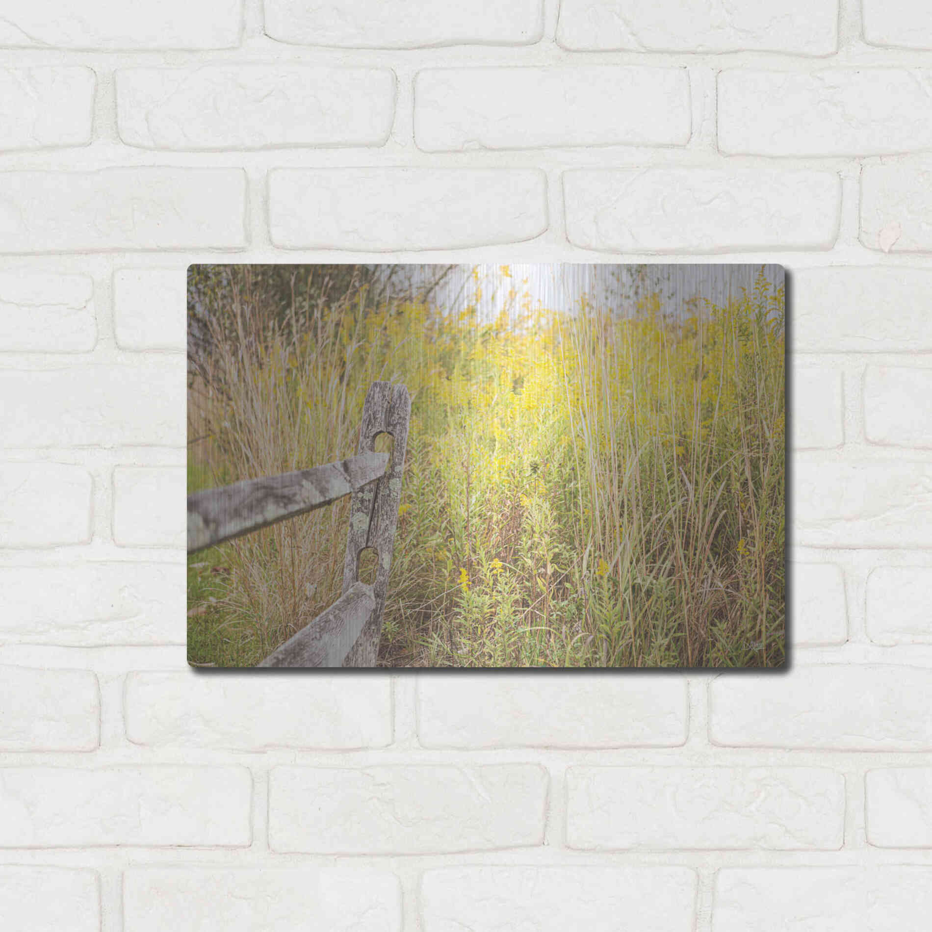 Luxe Metal Art 'Fence Stops Here' by Donnie Quillen, Metal Wall Art,16x12