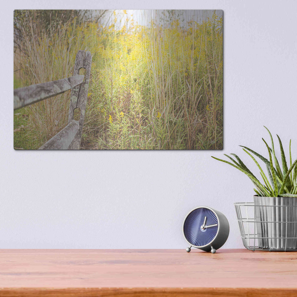 Luxe Metal Art 'Fence Stops Here' by Donnie Quillen, Metal Wall Art,16x12