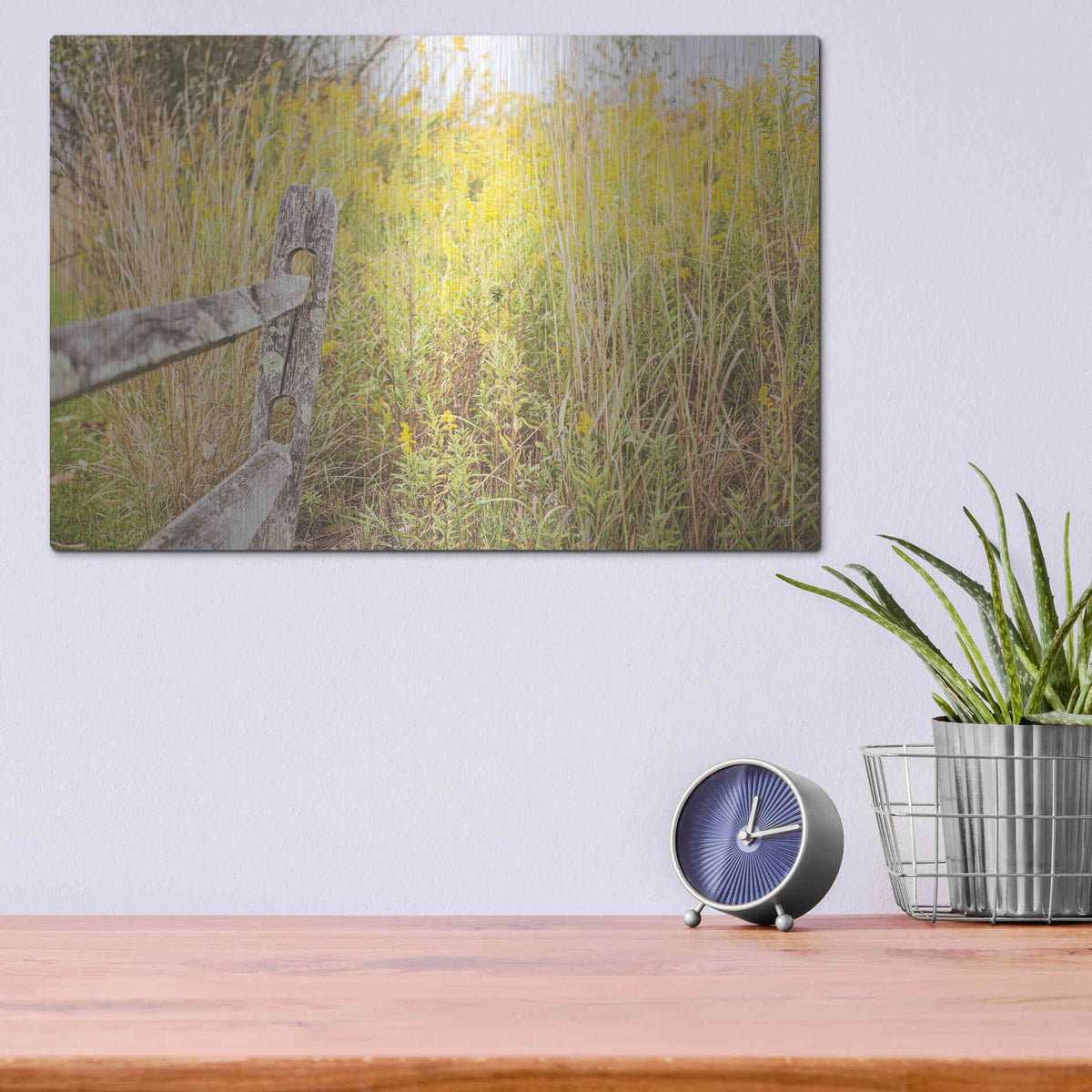 Luxe Metal Art 'Fence Stops Here' by Donnie Quillen, Metal Wall Art,16x12
