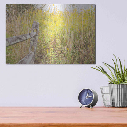 Luxe Metal Art 'Fence Stops Here' by Donnie Quillen, Metal Wall Art,16x12