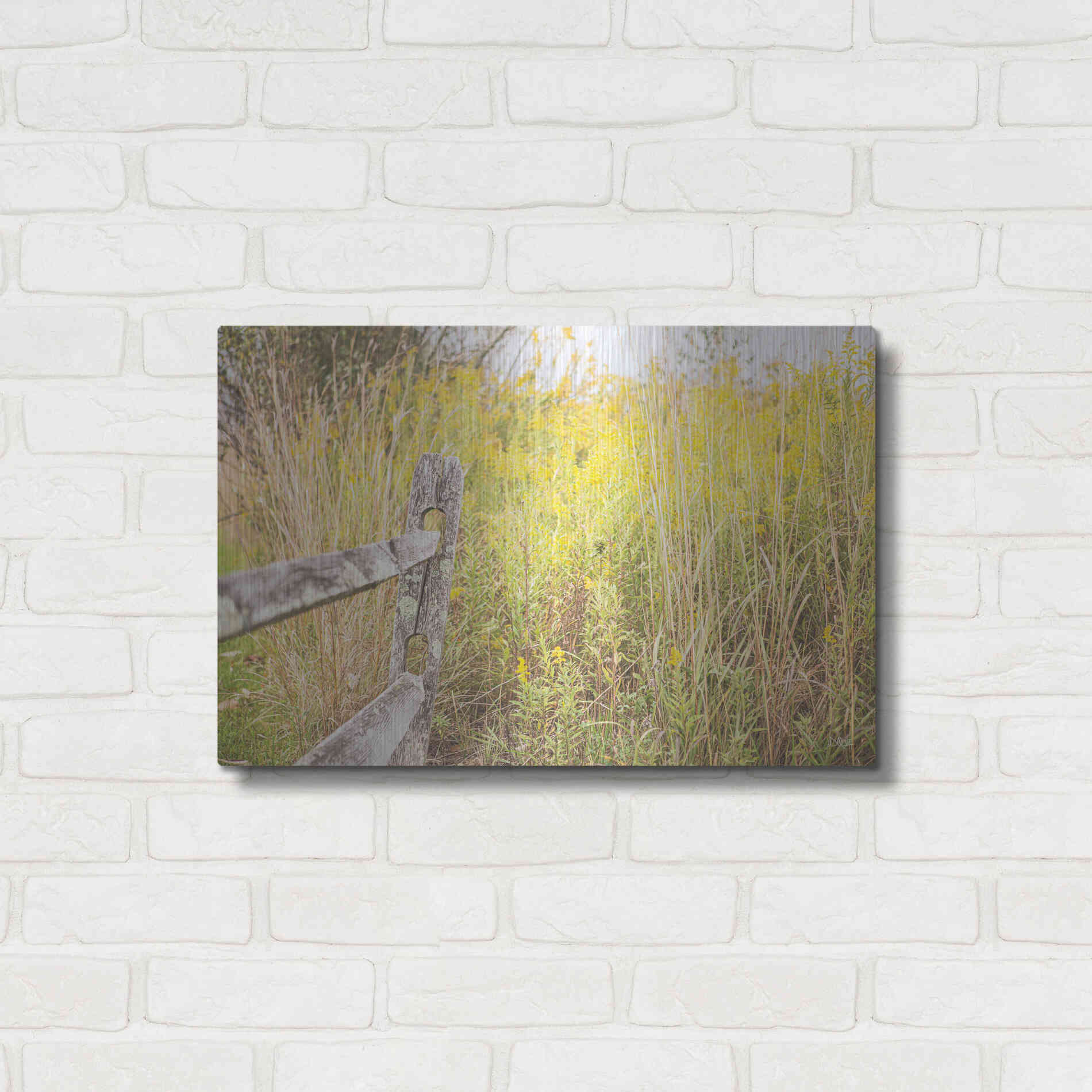 Luxe Metal Art 'Fence Stops Here' by Donnie Quillen, Metal Wall Art,24x16