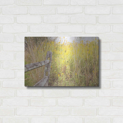 Luxe Metal Art 'Fence Stops Here' by Donnie Quillen, Metal Wall Art,24x16