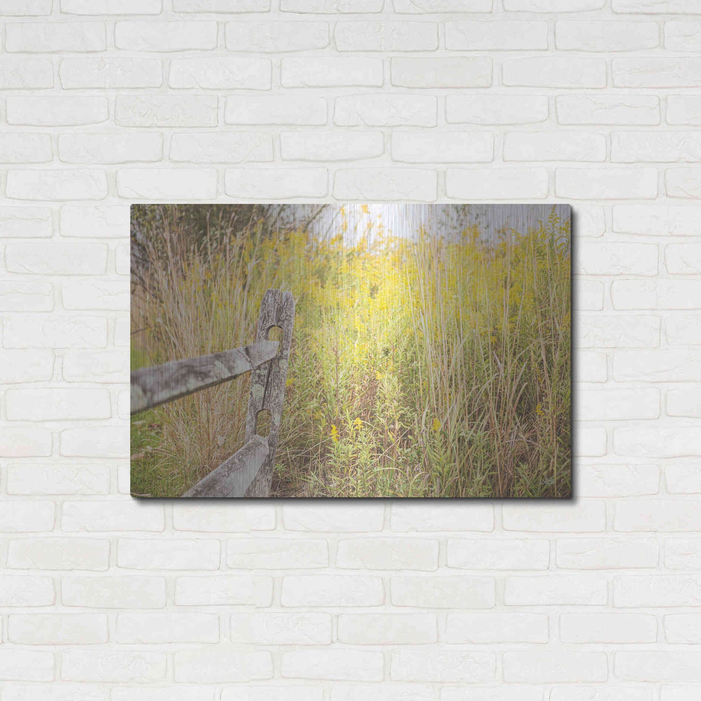 Luxe Metal Art 'Fence Stops Here' by Donnie Quillen, Metal Wall Art,36x24