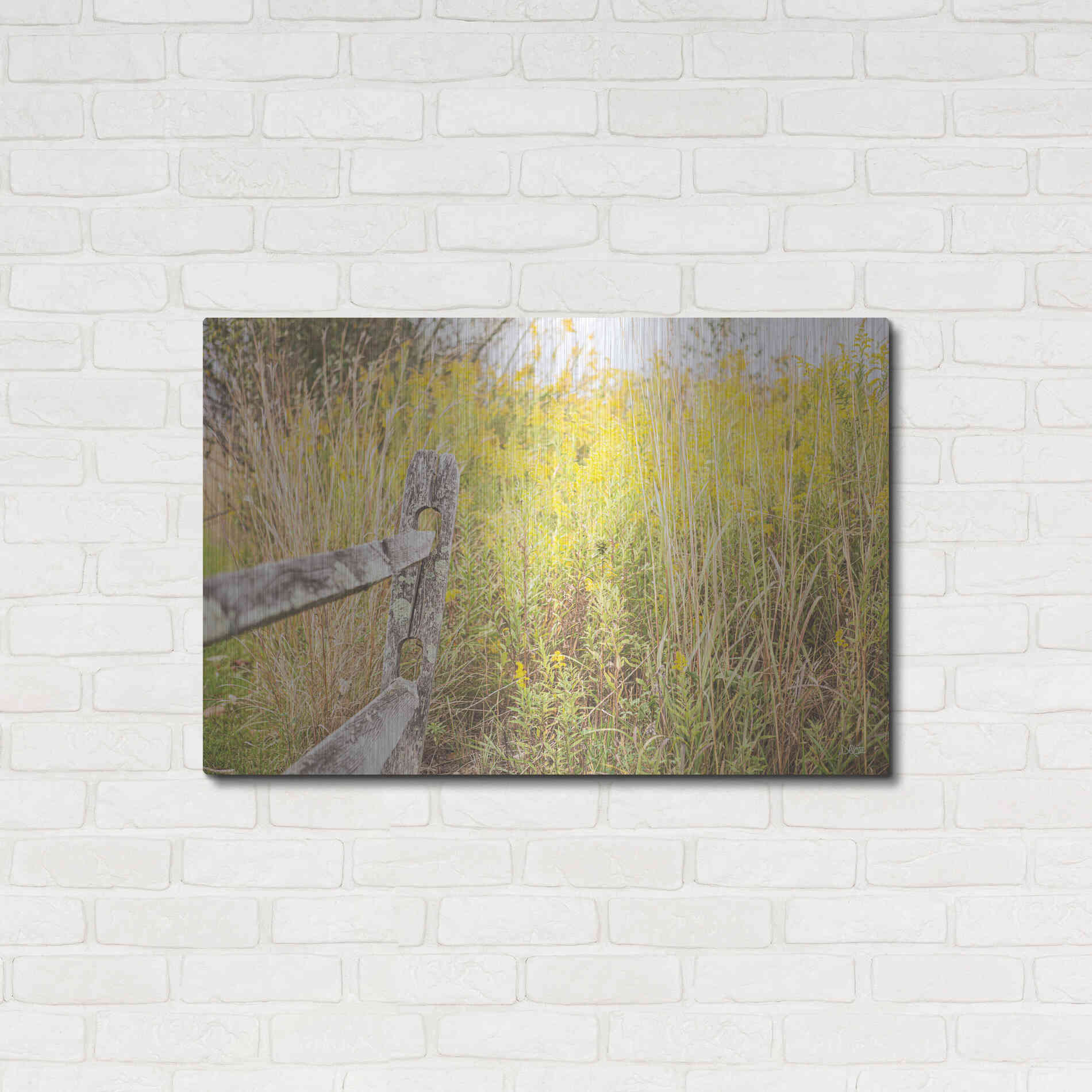 Luxe Metal Art 'Fence Stops Here' by Donnie Quillen, Metal Wall Art,36x24