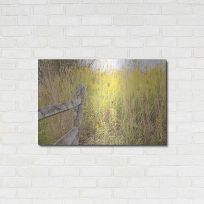 Luxe Metal Art 'Fence Stops Here' by Donnie Quillen, Metal Wall Art,36x24