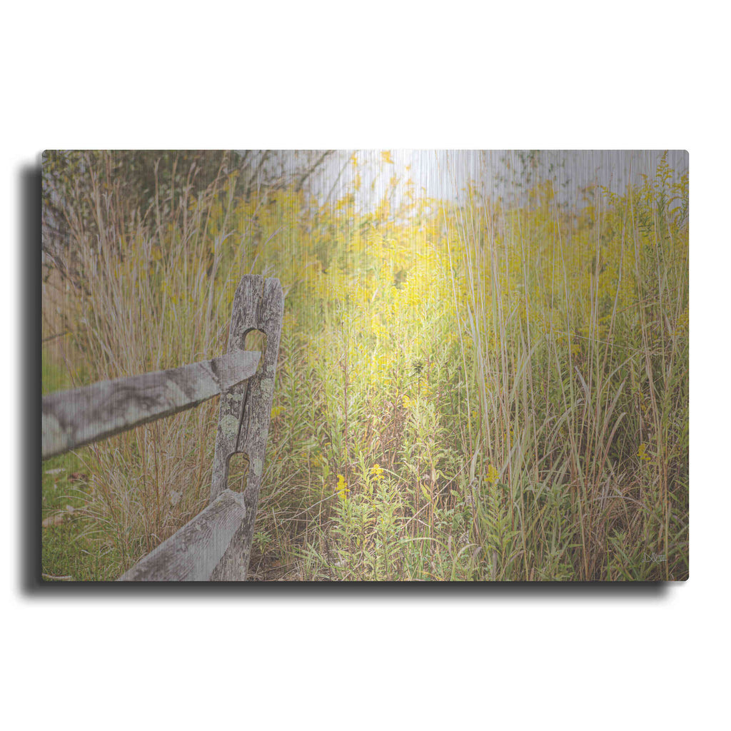 Luxe Metal Art 'Fence Stops Here' by Donnie Quillen, Metal Wall Art