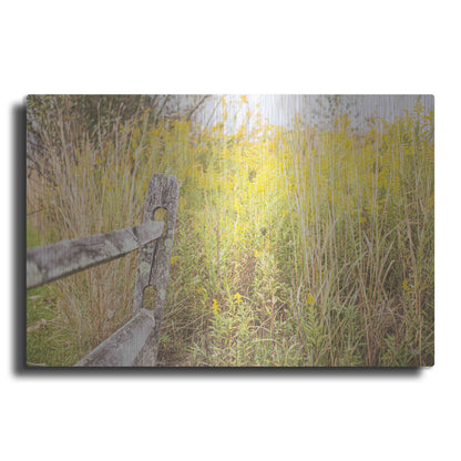 Luxe Metal Art 'Fence Stops Here' by Donnie Quillen, Metal Wall Art