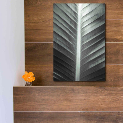 Luxe Metal Art 'Leaf Lines' by Donnie Quillen, Metal Wall Art,12x16