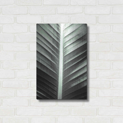 Luxe Metal Art 'Leaf Lines' by Donnie Quillen, Metal Wall Art,16x24