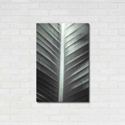 Luxe Metal Art 'Leaf Lines' by Donnie Quillen, Metal Wall Art,24x36