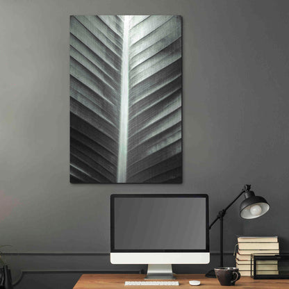 Luxe Metal Art 'Leaf Lines' by Donnie Quillen, Metal Wall Art,24x36
