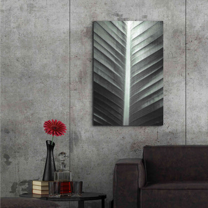 Luxe Metal Art 'Leaf Lines' by Donnie Quillen, Metal Wall Art,24x36