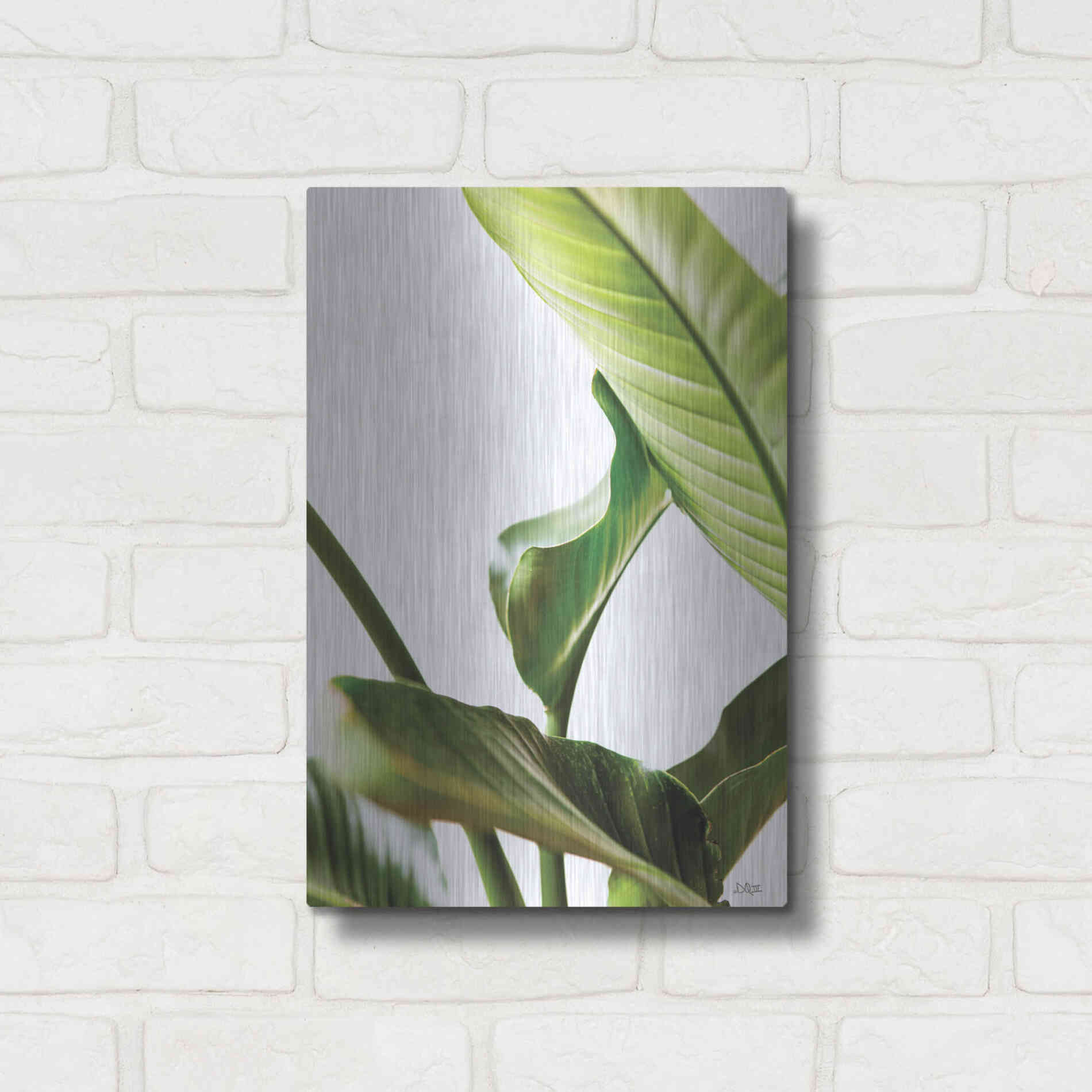 Luxe Metal Art 'Plant Leaves' by Donnie Quillen, Metal Wall Art,12x16