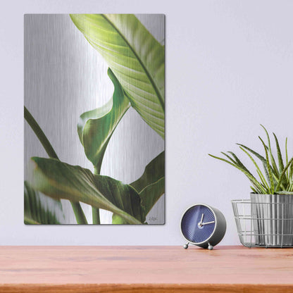 Luxe Metal Art 'Plant Leaves' by Donnie Quillen, Metal Wall Art,12x16