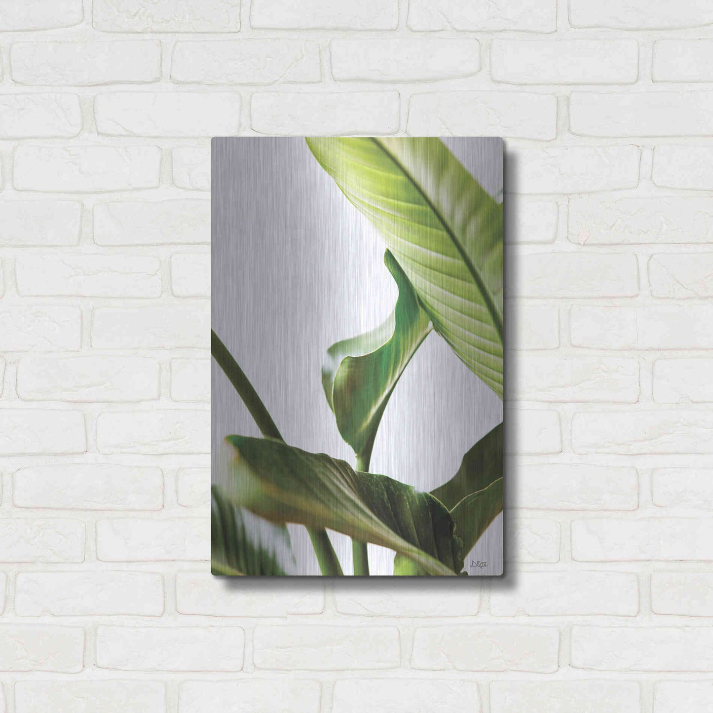 Luxe Metal Art 'Plant Leaves' by Donnie Quillen, Metal Wall Art,16x24