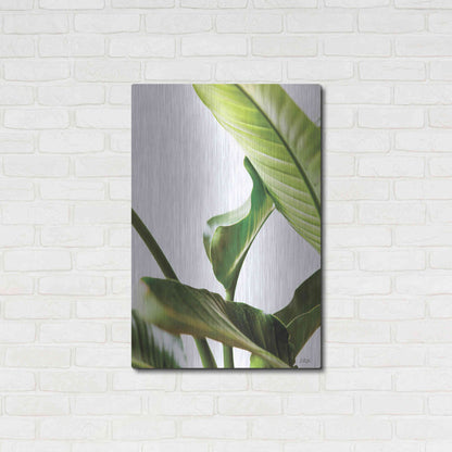 Luxe Metal Art 'Plant Leaves' by Donnie Quillen, Metal Wall Art,24x36