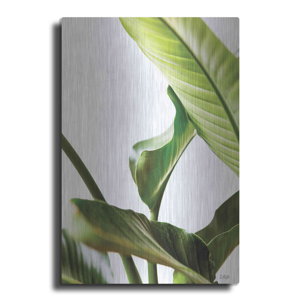 Luxe Metal Art 'Plant Leaves' by Donnie Quillen, Metal Wall Art