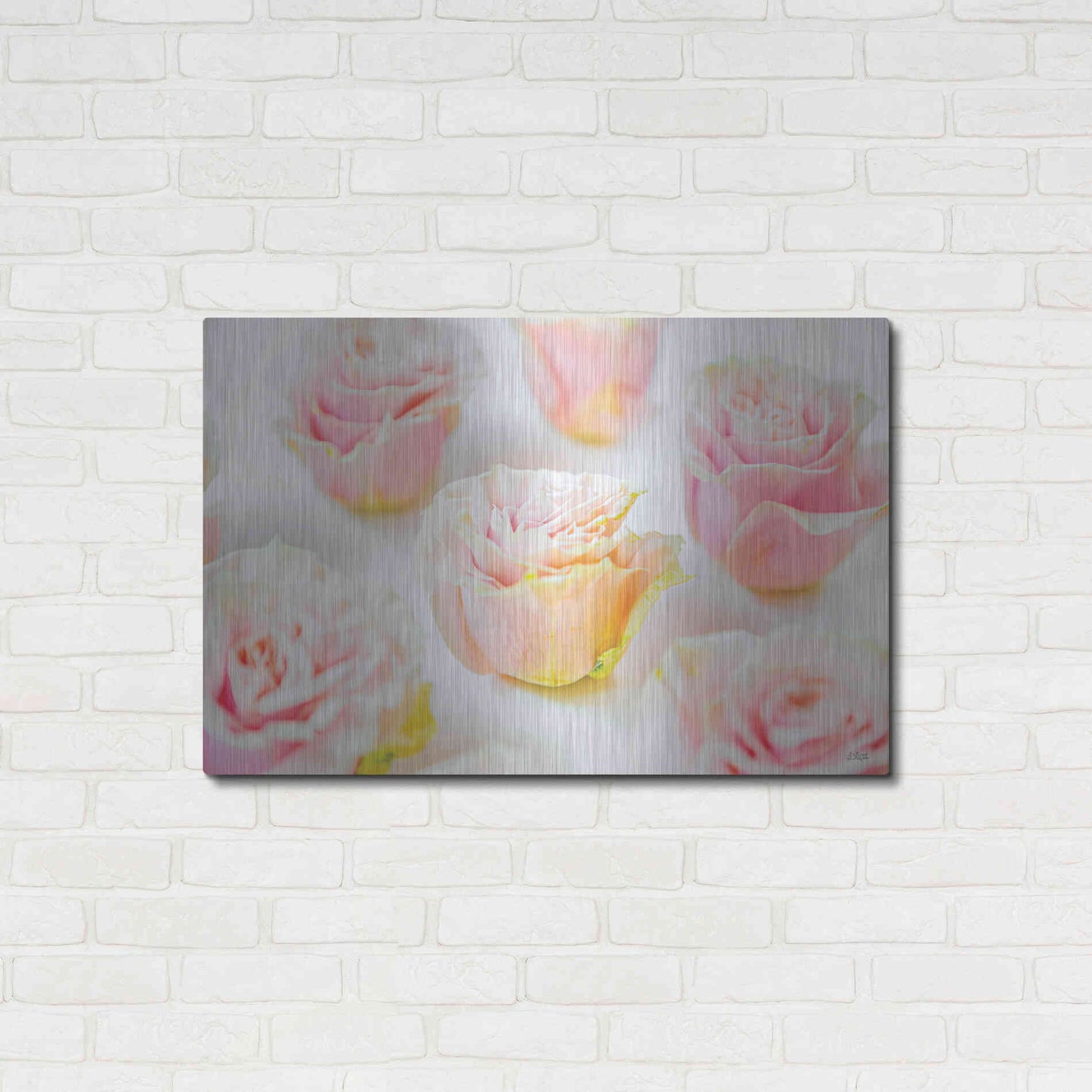 Luxe Metal Art 'Pale Pink Rose Blooms III' by Donnie Quillen, Metal Wall Art,36x24