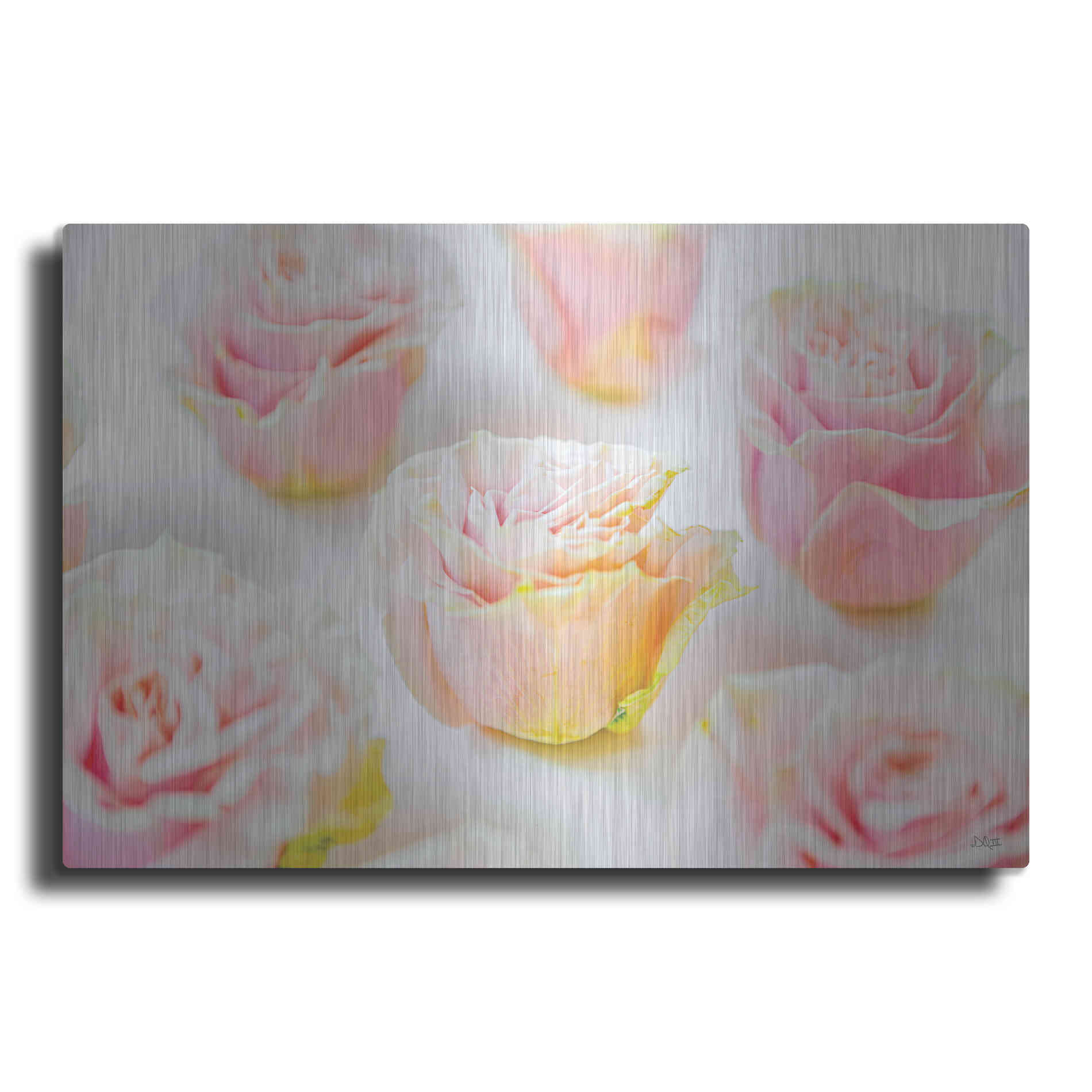 Luxe Metal Art 'Pale Pink Rose Blooms III' by Donnie Quillen, Metal Wall Art