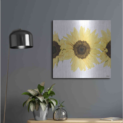 Luxe Metal Art 'Sunflowers in a Row I' by Donnie Quillen, Metal Wall Art,24x24