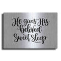 Luxe Metal Art 'Sweet Sleep    ' by Imperfect Dust, Metal Wall Art