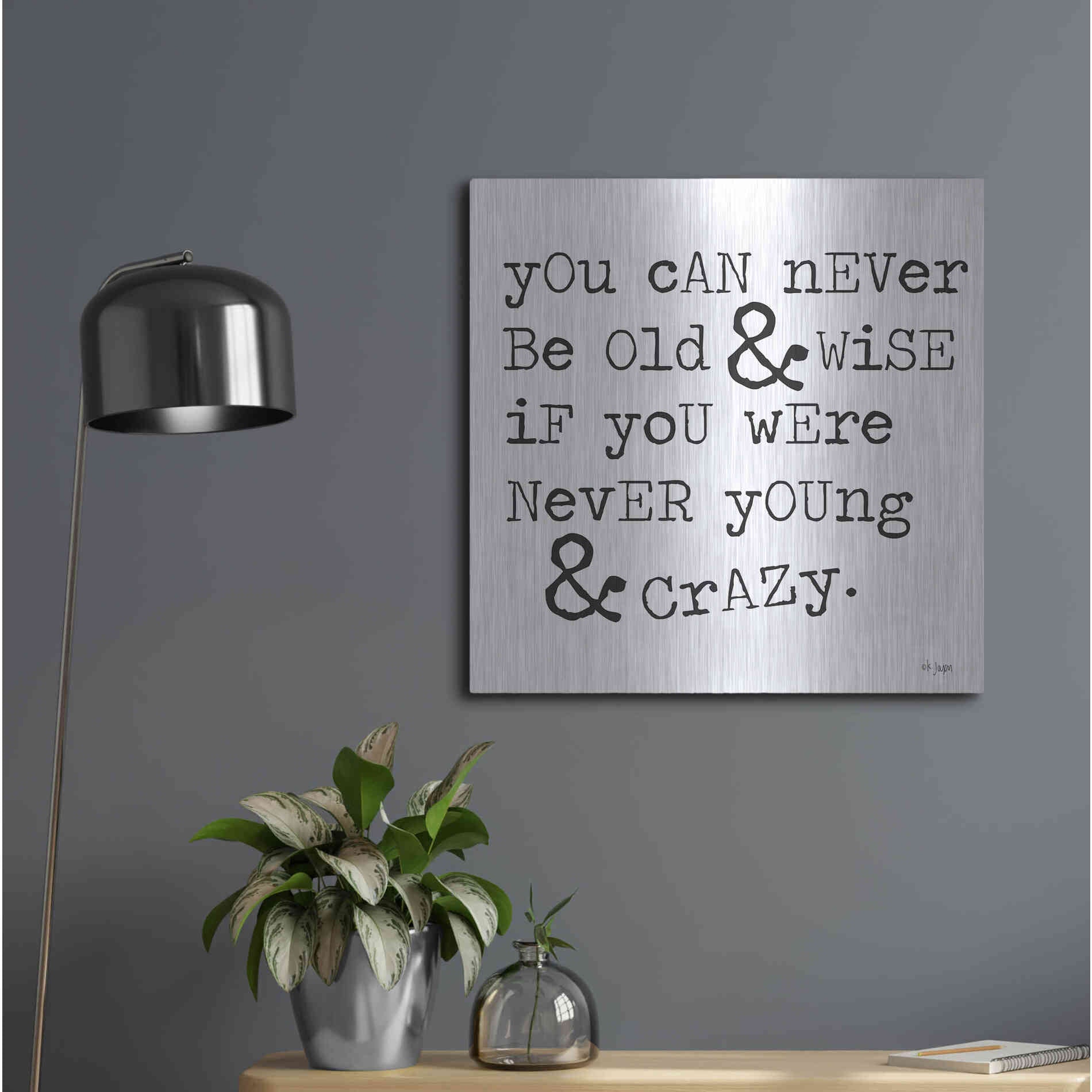 Luxe Metal Art 'Young & Crazy   ' by Jaxn Blvd., Metal Wall Art,24x24