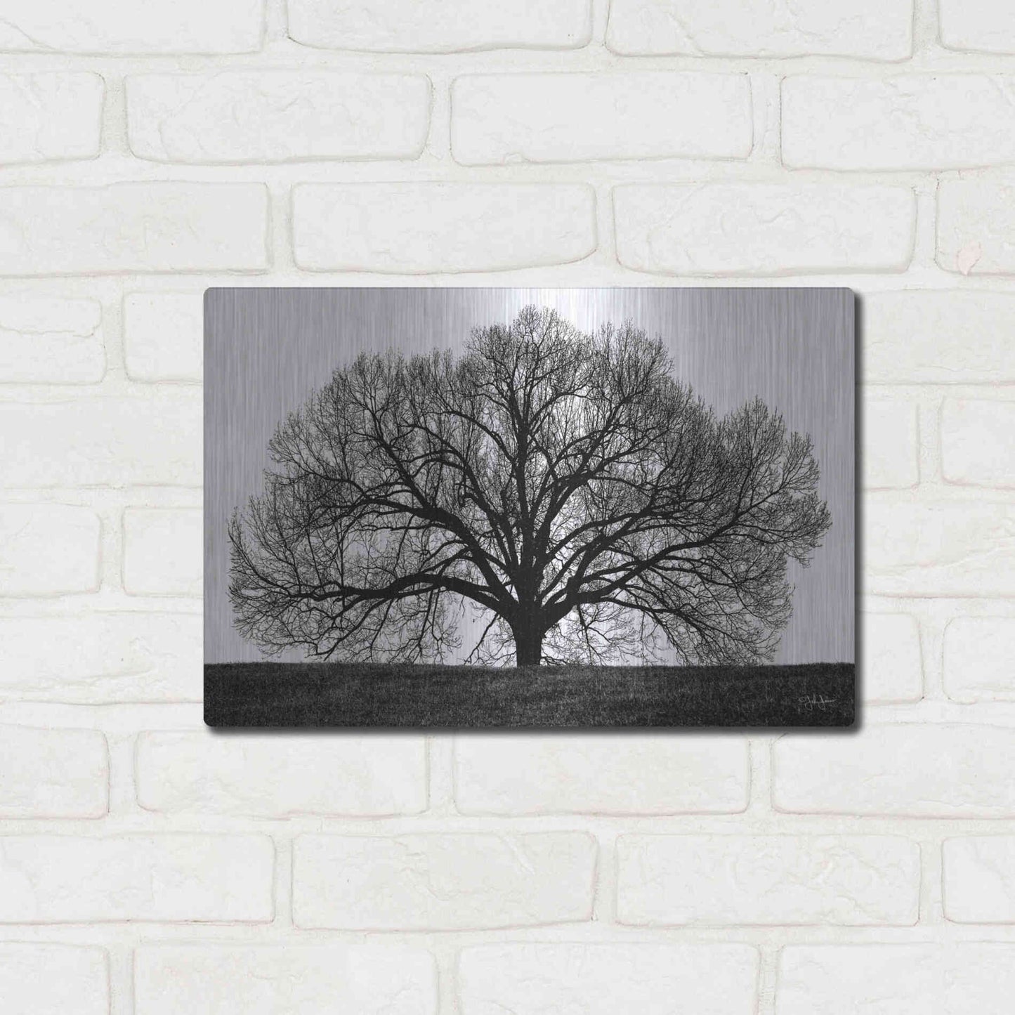 Luxe Metal Art 'The Tree' by John Jones, Metal Wall Art,16x12