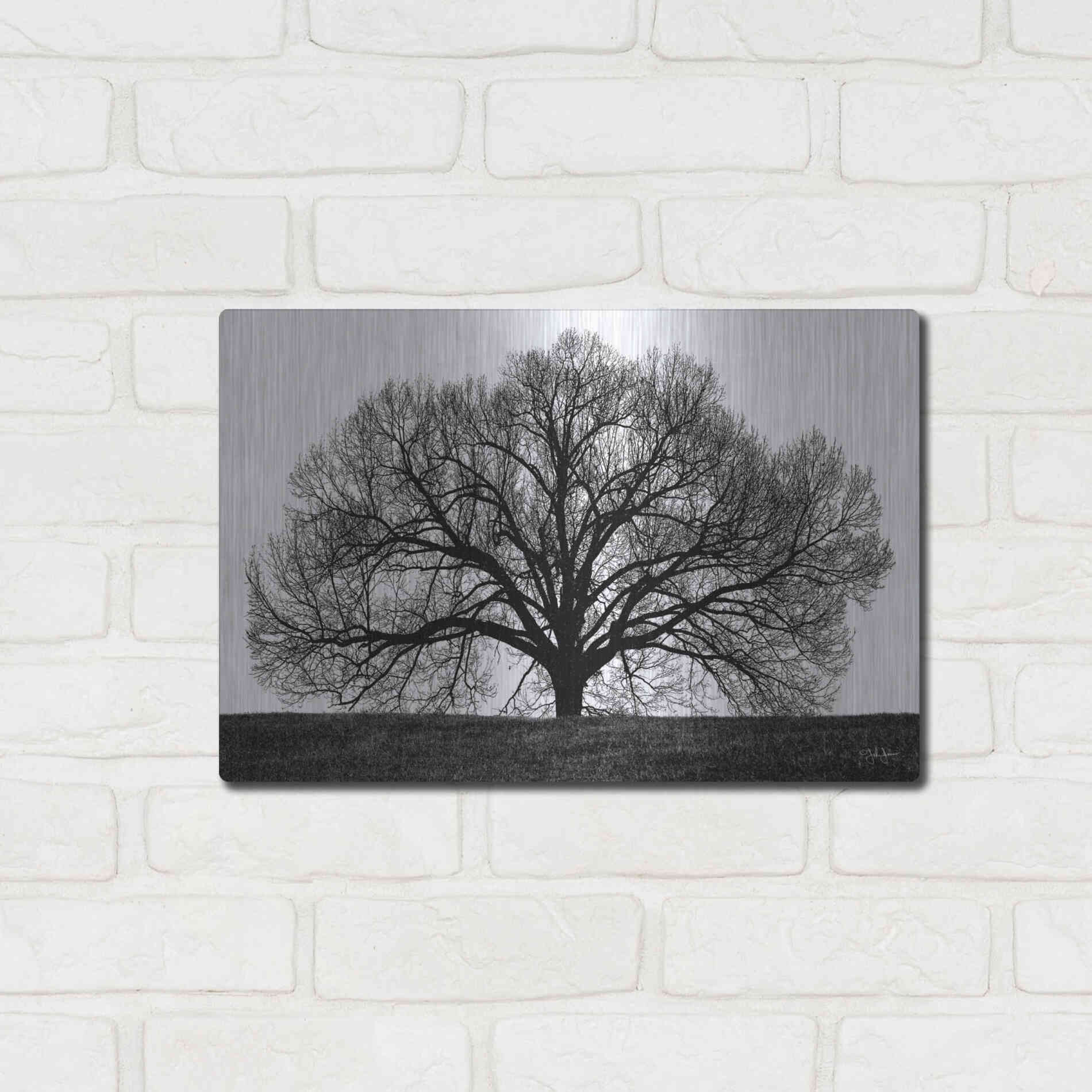 Luxe Metal Art 'The Tree' by John Jones, Metal Wall Art,16x12