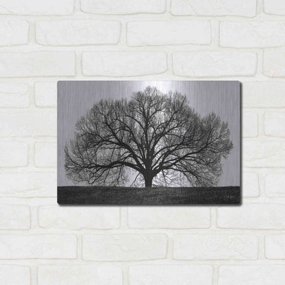 Luxe Metal Art 'The Tree' by John Jones, Metal Wall Art,16x12