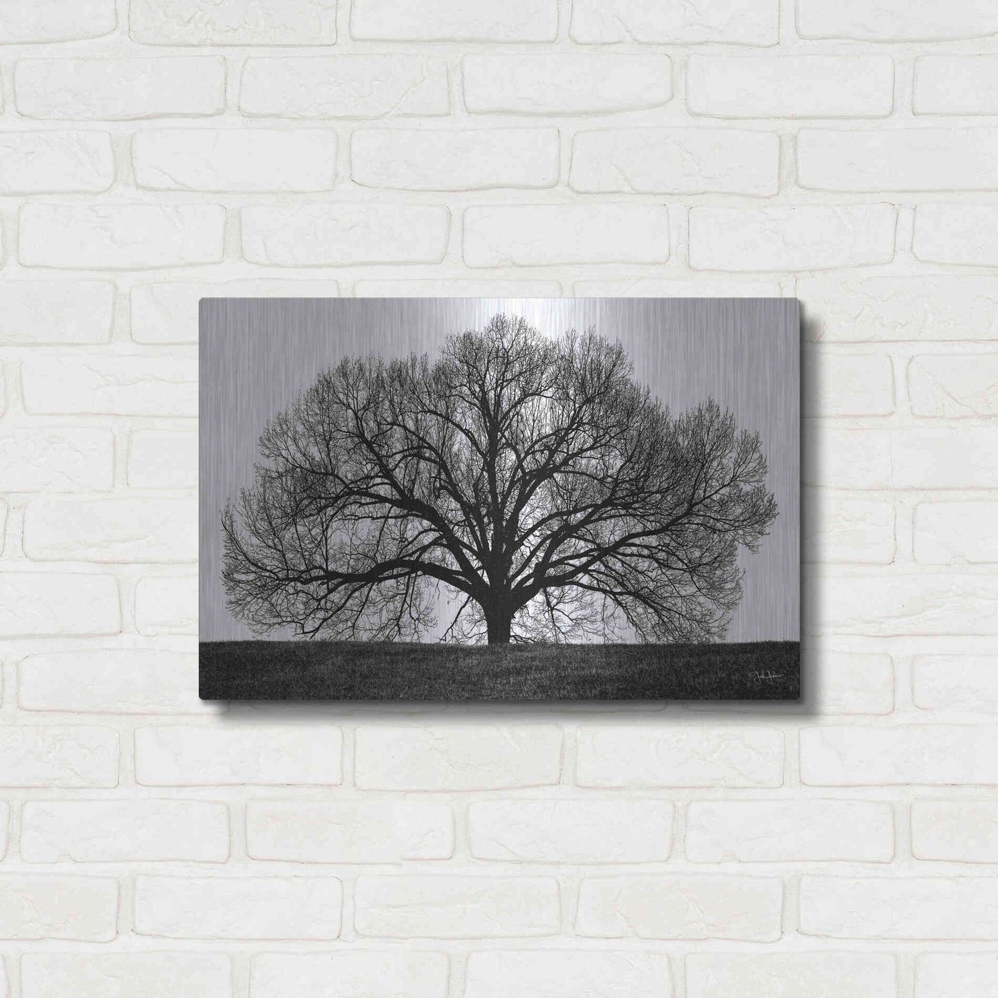 Luxe Metal Art 'The Tree' by John Jones, Metal Wall Art,24x16