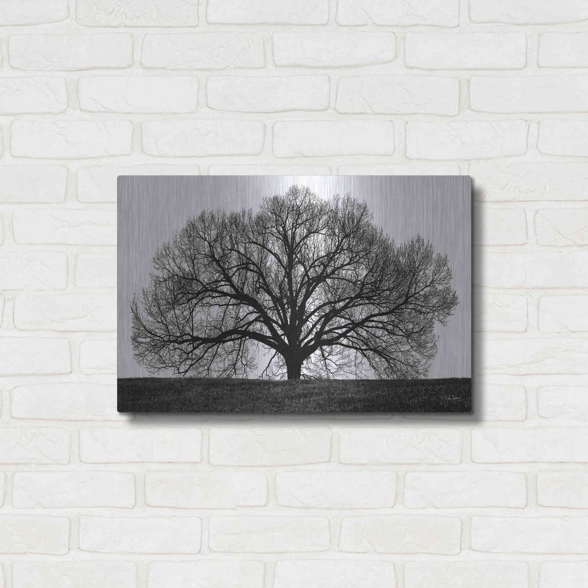 Luxe Metal Art 'The Tree' by John Jones, Metal Wall Art,24x16