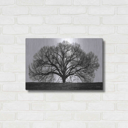 Luxe Metal Art 'The Tree' by John Jones, Metal Wall Art,24x16