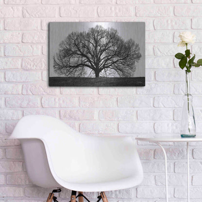 Luxe Metal Art 'The Tree' by John Jones, Metal Wall Art,24x16