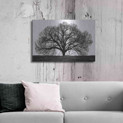 Luxe Metal Art 'The Tree' by John Jones, Metal Wall Art,36x24