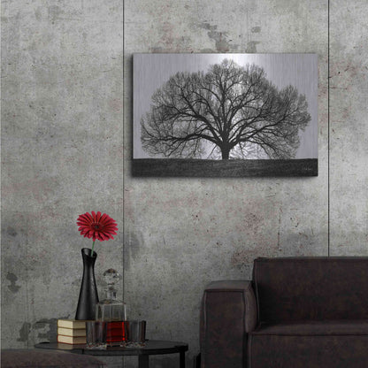 Luxe Metal Art 'The Tree' by John Jones, Metal Wall Art,36x24