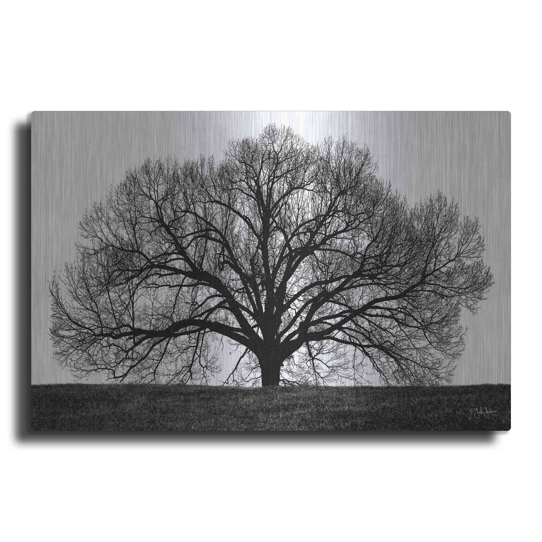 Luxe Metal Art 'The Tree' by John Jones, Metal Wall Art
