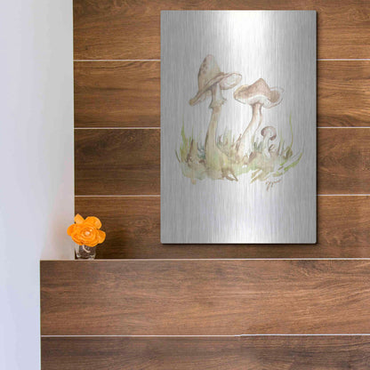 Luxe Metal Art 'Fall Mushrooms' by Jessica Mingo, Metal Wall Art,12x16
