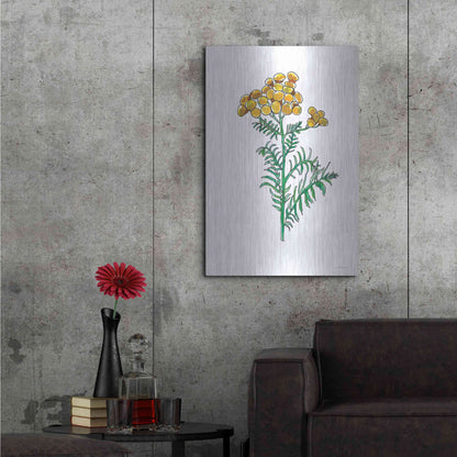 Luxe Metal Art 'Odd Ball' by Kamdon Kreations, Metal Wall Art,24x36