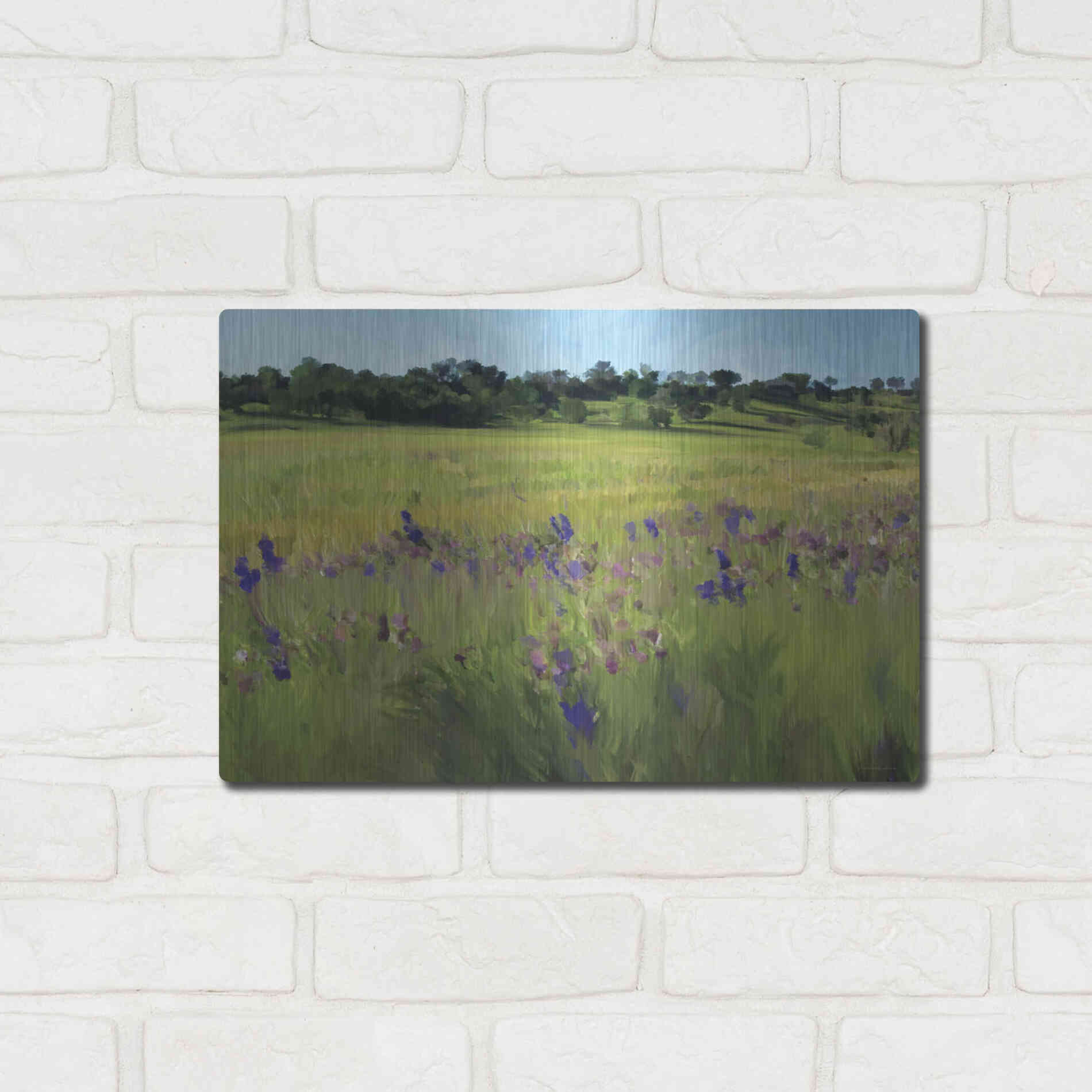 Luxe Metal Art 'Bidwell Park' by Kamdon Kreations, Metal Wall Art,16x12