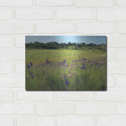 Luxe Metal Art 'Bidwell Park' by Kamdon Kreations, Metal Wall Art,16x12