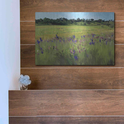 Luxe Metal Art 'Bidwell Park' by Kamdon Kreations, Metal Wall Art,16x12